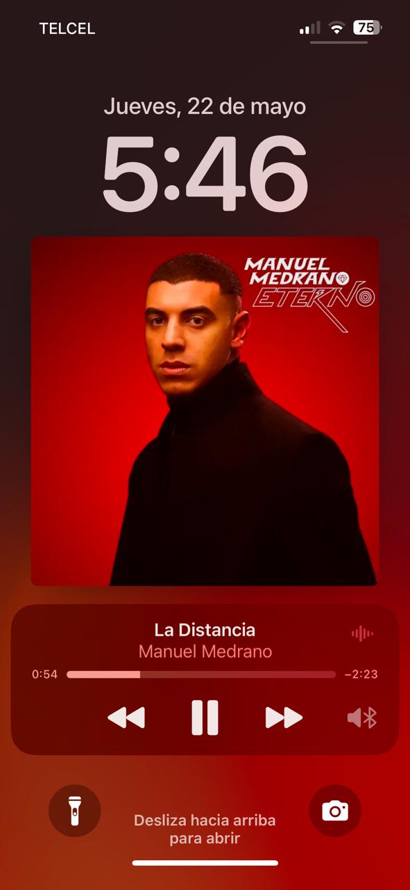 Manuel Medrano en concierto